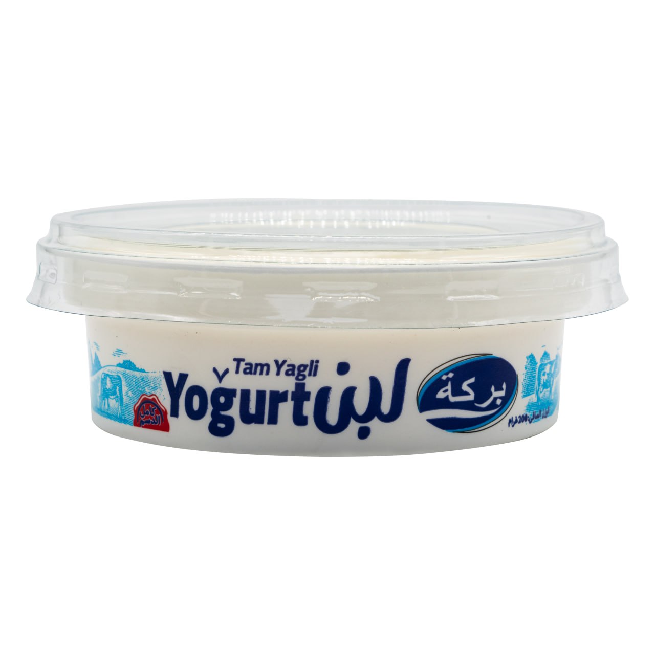 Yoghurt 11 | Bereket