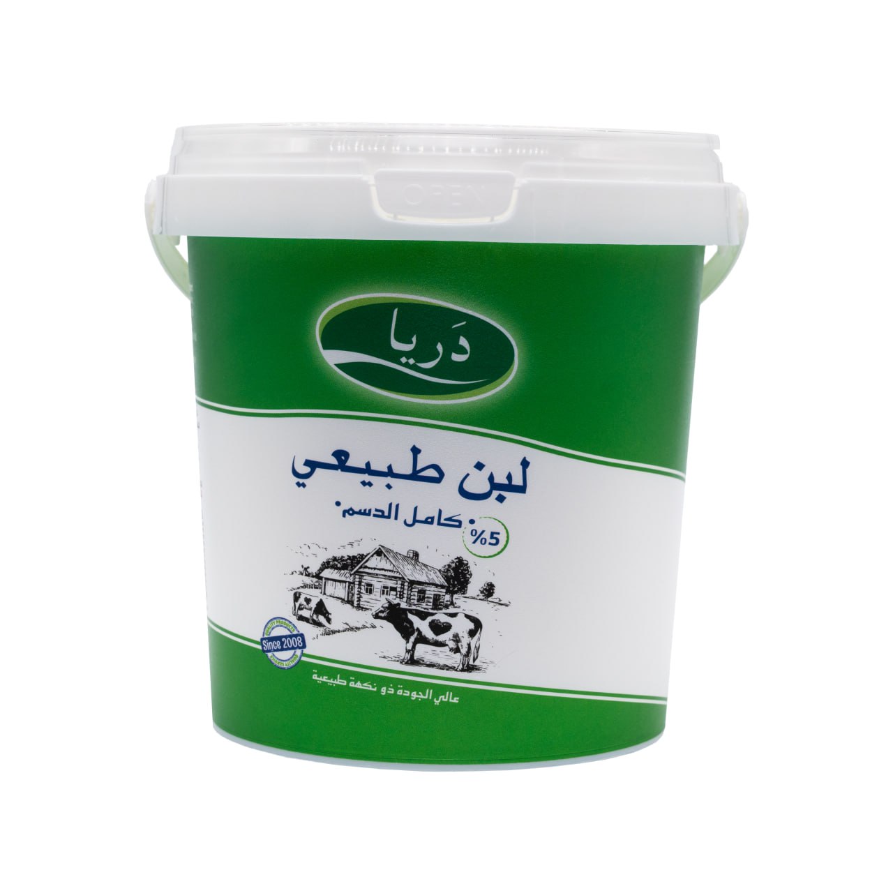 Yoghurt 2 | Darya