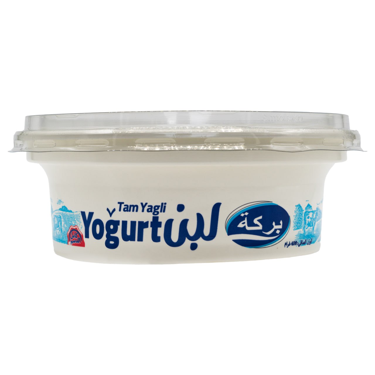 Yoghurt 11 | Bereket