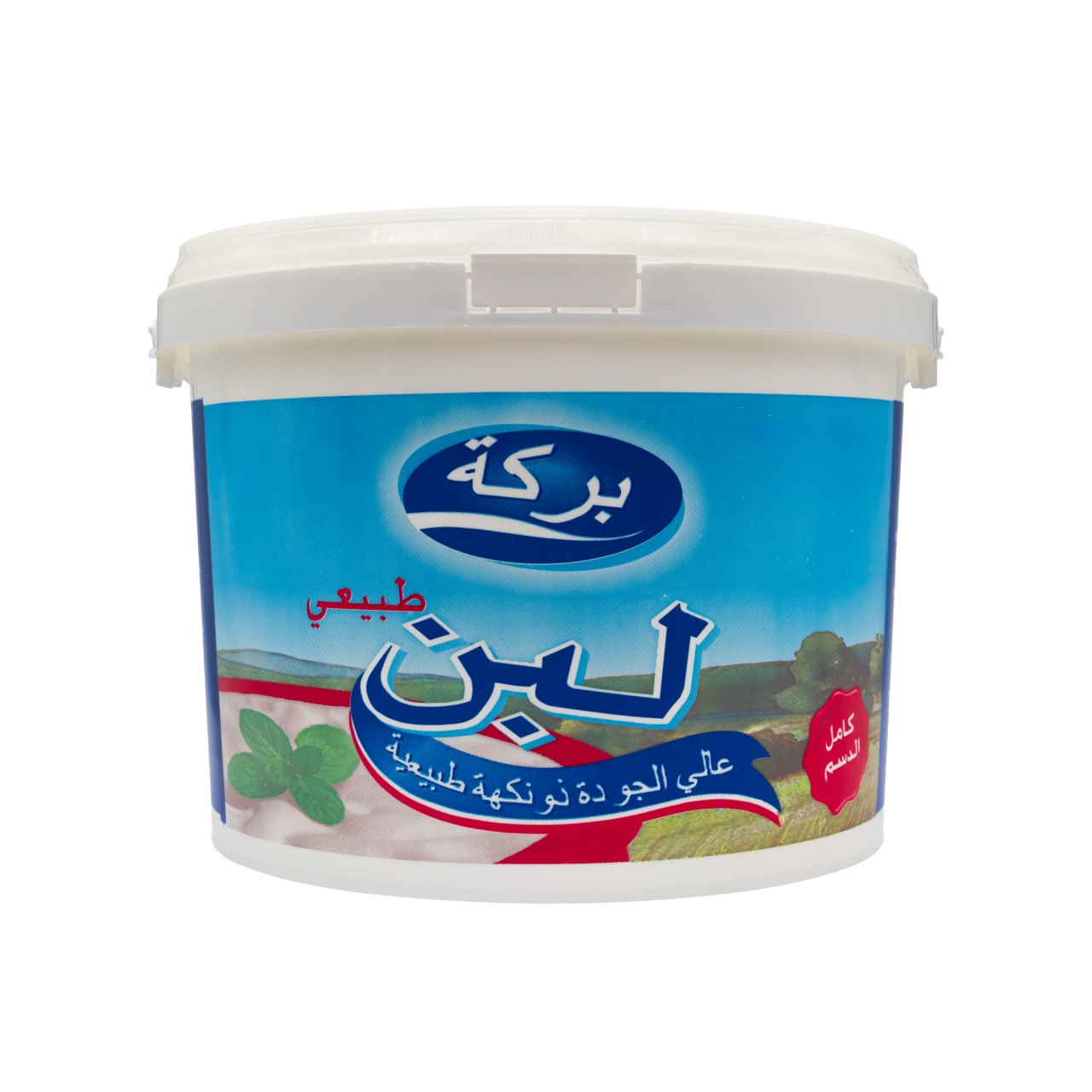 Yoghurt 3 | Bereket