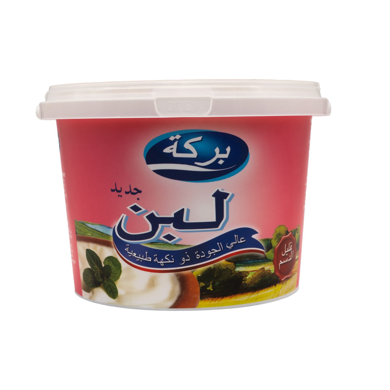 Yoghurt 6 | Bereket